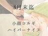 【即日ウエストシェイプ】熟練小顔コルギ×お腹集中ハイパーナイフ 90分 