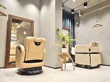 アーピス アイ(APIS eye)