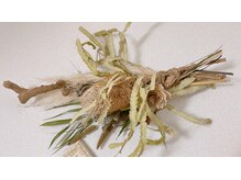 オーナーお気に入りのドライフラワー♪