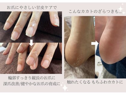 ビビィ(vivie)の写真