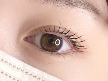 ハロウ/まつげパーマ 上のみ