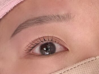 ココ バイ ジル アイラッシュ(CoCo by JILL eyelash)/セットメニュー