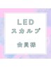 【会員様】髪の毛スカルプケア回数券お持ちの方