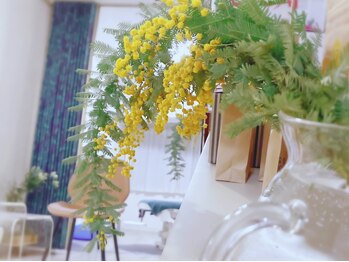 ムク(MUKU 無垢)/MUKU無垢ルーム内