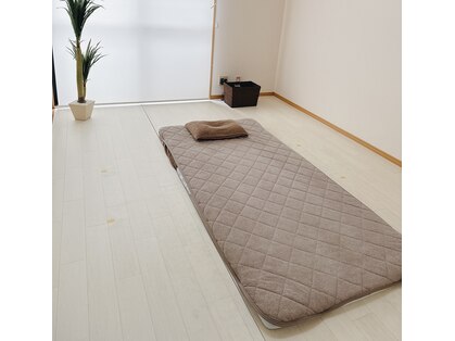 アロエ(Aloe)の写真