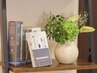 お化粧品ご購入のご予約