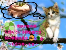 リラクゼーションサロン ぼでぃーはーと/