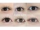 リッチオ(Riccio)の写真
