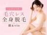 おすすめレディース毛穴レス全身脱毛(顔&VIO) サブスク¥27,500