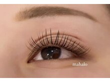 マハロ 関目(Mahalo)/フラットラッシュ120本