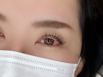 ダリア 大宮店(DAHLIA)/シングルラッシュ