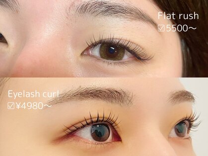 パー(purr)の写真