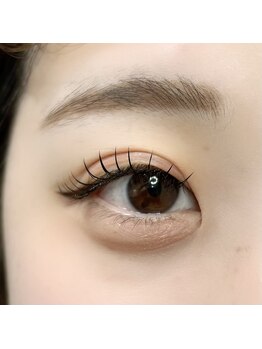 レジアント(Rediant)/フラットラッシュ120本