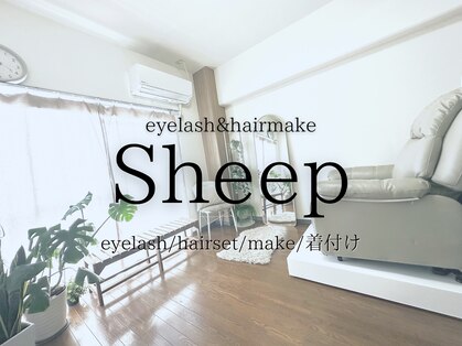 シープ(Sheep)の写真