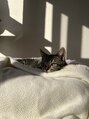 釈迦頭&nbsp;動物大好きです猫3匹、犬1匹飼ってます
