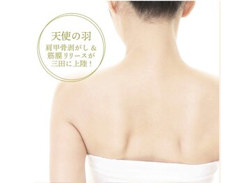 サンメリア(Sunmeria)/electro 天使の羽／肩甲骨剥がし