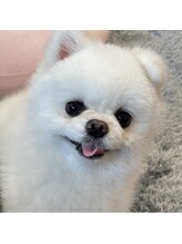 ユアサロン(yua salon) ととろ てんちょう