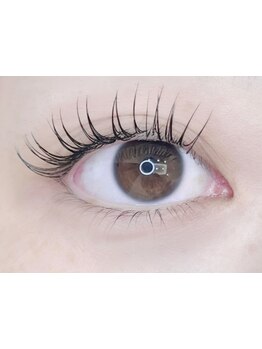 初めての方にオススメ