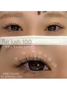プリンセスローズ(Princess Rose)/フラットラッシュ100本