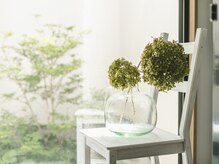 オレアグリーン 岡崎(OLEA green)/店内の様子(リンパマッサージ)