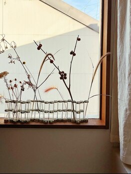 エピ(epi)/サロン内観