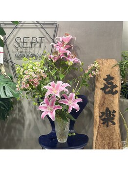 セプトきらく鍼灸整体院(Sept.)/今週のお花☆