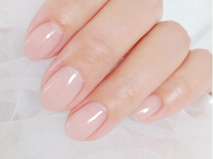 桜の写真