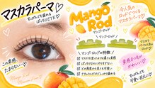 ヘアーDDフォルム 柳川(hair DD form)