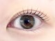 【完全個室サロン】Eleanor eyelash 郡山【11/1オープン（予定）】の写真