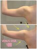 【二の腕・わき肉・肩・肩甲骨・お背中上部】　爆燃焼！VENUSDIVA￥17600