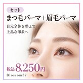 ブロッサム サンナナ(Blossom37)
