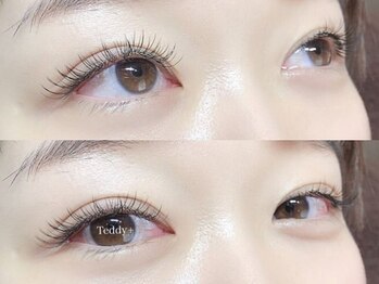 テディプラス(Teddy+)/フラットラッシュ60分コース