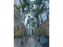 シンクテーブル(Think Table)の雰囲気（秘密基地のような入り口でわくわく）