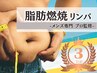 【人気No.3】《メンズ痩身/内臓脂肪》脂肪燃焼リンパ♪夏までに痩せる！