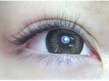 ブロッサ(Blossa)/ボリュームラッシュ240本(80束)