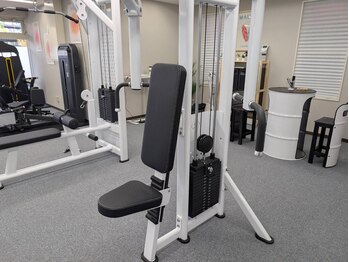 ゴーズ(GO’S)/ペックフライ(胸筋/デコルテ)