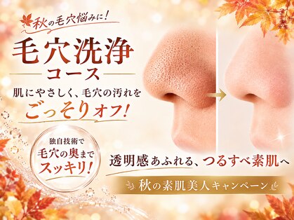 VS28スキンケアスタジオ バリイン 銀座(BALI IN)の写真