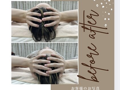 モア(moa)の写真