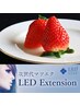 LED【1ヶ月以内の再来店の方】付け足し60本★フラットマットラッシュ