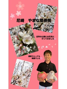 やまな整骨院/お花見♪