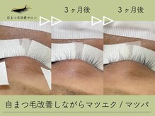 キンバリー 乃木坂店(KIMBERLY)/話題の【自まつ毛改善マツエク】