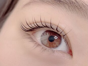 エクリュ アイラッシュ(ecru eyelash)/まつげパーマご新規様￥6000～