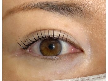 グラシア 碧南店(GRACIA)/まつげパーマ☆カール