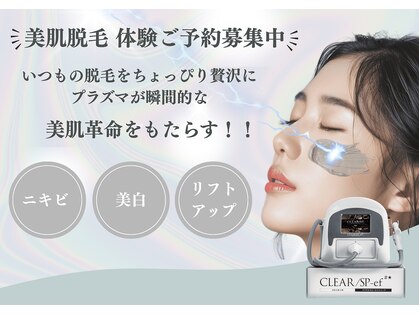 ボヌール(bonheur)の写真