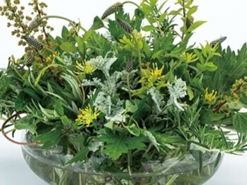 脱毛 痩身ぴゅあら/レベル調整で身体を芯から温め♪