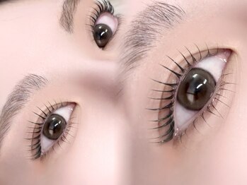 ロム(ROM)/lash lift 上下セット