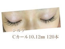 シルフ 石橋店(Sylph)/ミックススタイル120本