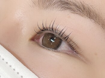 ディレット(DILETTO)/パリジェンヌラッシュリフト