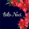 トトノエル(Toto Noel)ロゴ