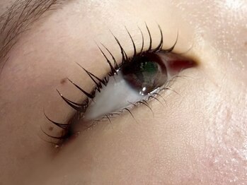 エスーガ(ESUGA)/